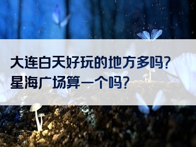 大连白天好玩的地方多吗？星海广场算一个吗？