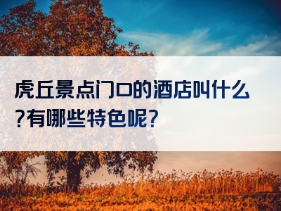 虎丘景点门口的酒店叫什么？有哪些特色呢？