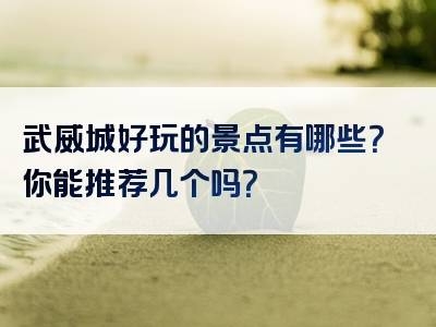 武威城好玩的景点有哪些？你能推荐几个吗？