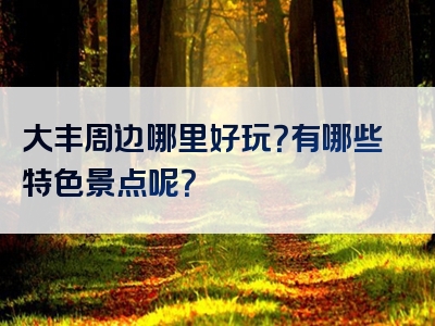 大丰周边哪里好玩？有哪些特色景点呢？