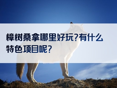 樟树桑拿哪里好玩？有什么特色项目呢？