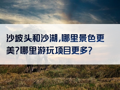 沙坡头和沙湖，哪里景色更美？哪里游玩项目更多？