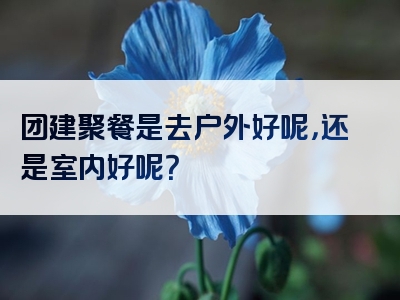 团建聚餐是去户外好呢，还是室内好呢？