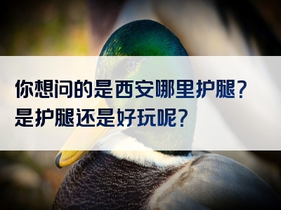 你想问的是西安哪里护腿？是护腿还是好玩呢？