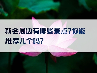 新会周边有哪些景点？你能推荐几个吗？