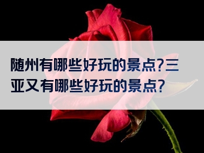 随州有哪些好玩的景点？三亚又有哪些好玩的景点？