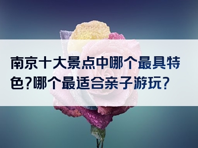 南京十大景点中哪个最具特色？哪个最适合亲子游玩？