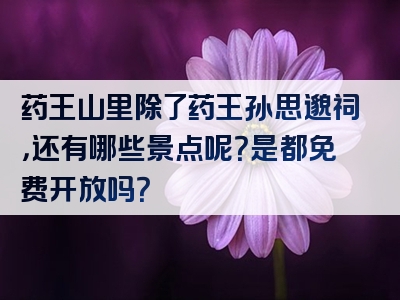 药王山里除了药王孙思邈祠，还有哪些景点呢？是都免费开放吗？