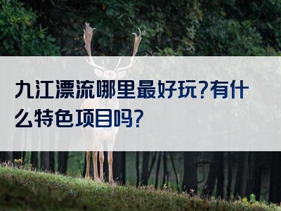 九江漂流哪里最好玩？有什么特色项目吗？
