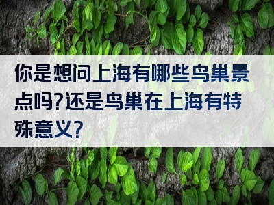 你是想问上海有哪些鸟巢景点吗？还是鸟巢在上海有特殊意义？