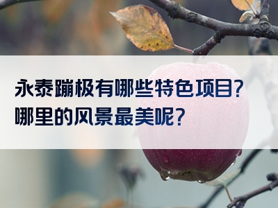 永泰蹦极有哪些特色项目？哪里的风景最美呢？