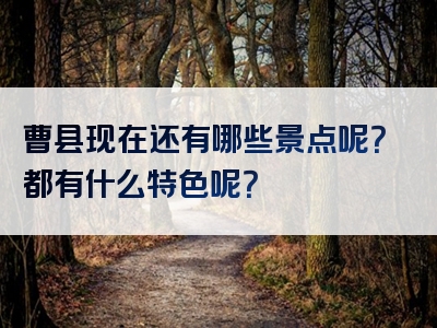 曹县现在还有哪些景点呢？都有什么特色呢？