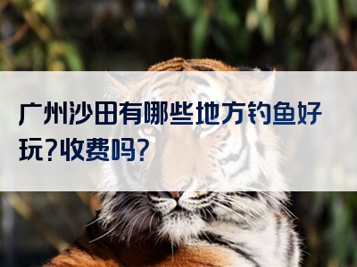 广州沙田有哪些地方钓鱼好玩？收费吗？