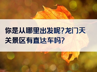 你是从哪里出发呢？龙门天关景区有直达车吗？