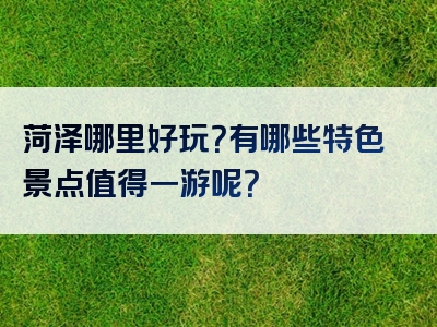 菏泽哪里好玩？有哪些特色景点值得一游呢？