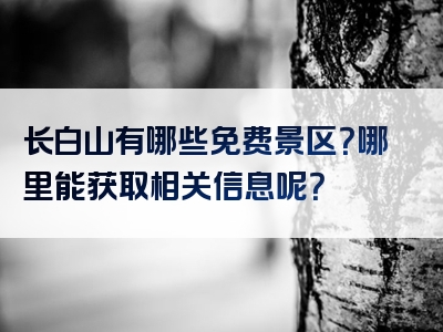 长白山有哪些免费景区？哪里能获取相关信息呢？