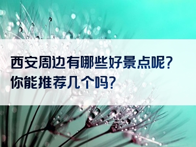 西安周边有哪些好景点呢？你能推荐几个吗？