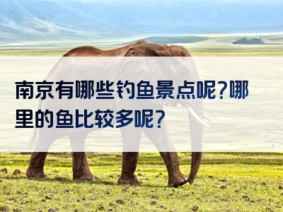 南京有哪些钓鱼景点呢？哪里的鱼比较多呢？