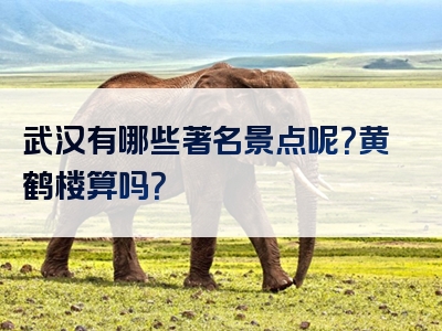 武汉有哪些著名景点呢？黄鹤楼算吗？