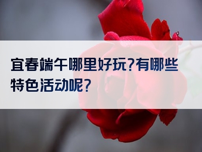 宜春端午哪里好玩？有哪些特色活动呢？
