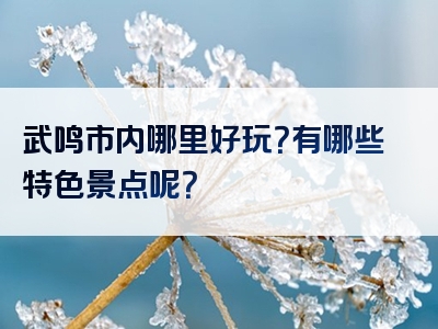 武鸣市内哪里好玩？有哪些特色景点呢？
