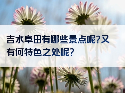 吉水阜田有哪些景点呢？又有何特色之处呢？
