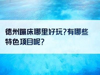 德州蹦床哪里好玩？有哪些特色项目呢？