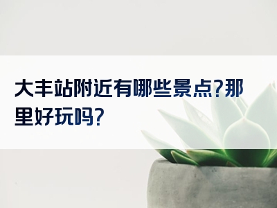 大丰站附近有哪些景点？那里好玩吗？