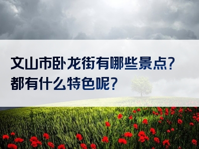 文山市卧龙街有哪些景点？都有什么特色呢？