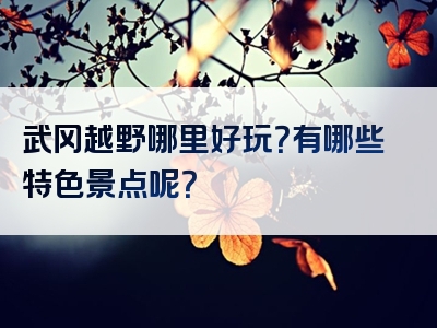 武冈越野哪里好玩？有哪些特色景点呢？
