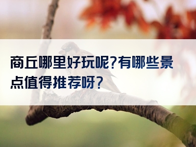 商丘哪里好玩呢？有哪些景点值得推荐呀？
