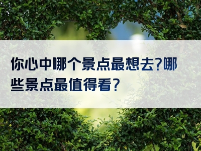 你心中哪个景点最想去？哪些景点最值得看？