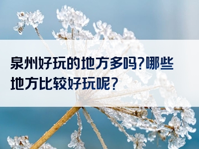 泉州好玩的地方多吗？哪些地方比较好玩呢？