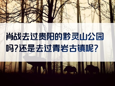 肖战去过贵阳的黔灵山公园吗？还是去过青岩古镇呢？