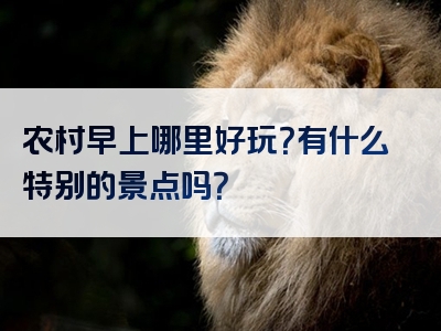 农村早上哪里好玩？有什么特别的景点吗？