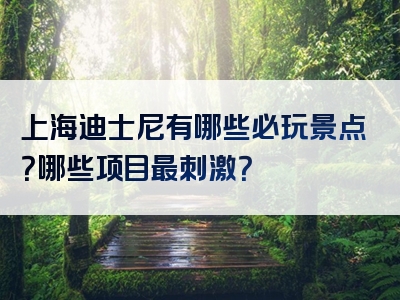 上海迪士尼有哪些必玩景点？哪些项目最刺激？