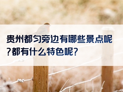 贵州都匀旁边有哪些景点呢？都有什么特色呢？