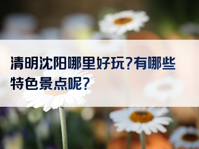 清明沈阳哪里好玩？有哪些特色景点呢？
