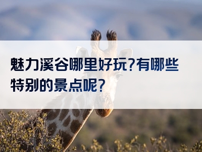 魅力溪谷哪里好玩？有哪些特别的景点呢？