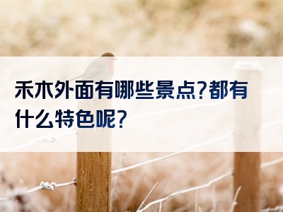 禾木外面有哪些景点？都有什么特色呢？
