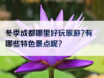 冬季成都哪里好玩旅游？有哪些特色景点呢？