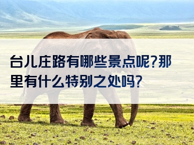 台儿庄路有哪些景点呢？那里有什么特别之处吗？