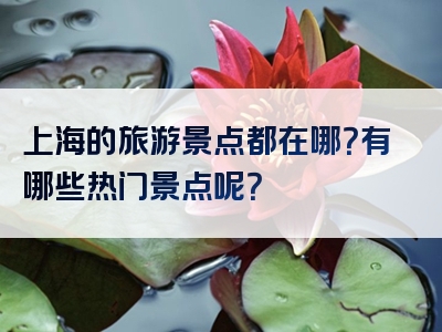 上海的旅游景点都在哪？有哪些热门景点呢？