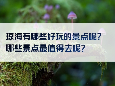 琼海有哪些好玩的景点呢？哪些景点最值得去呢？