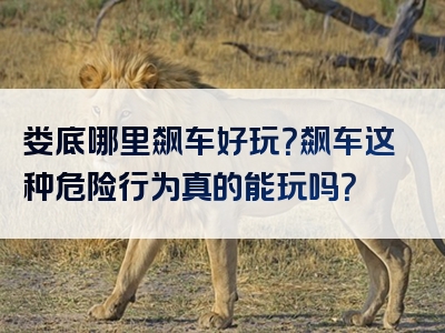 娄底哪里飙车好玩？飙车这种危险行为真的能玩吗？