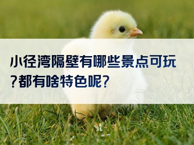 小径湾隔壁有哪些景点可玩？都有啥特色呢？
