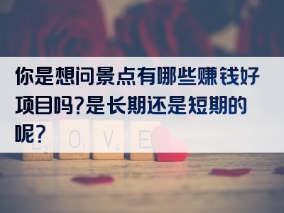 你是想问景点有哪些赚钱好项目吗？是长期还是短期的呢？