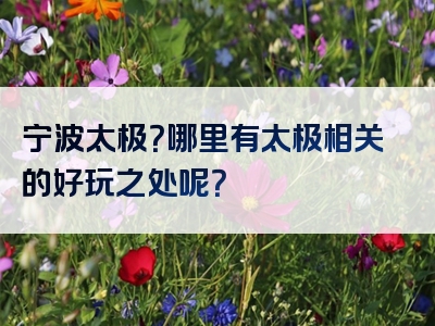 宁波太极？哪里有太极相关的好玩之处呢？