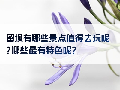 留坝有哪些景点值得去玩呢？哪些最有特色呢？