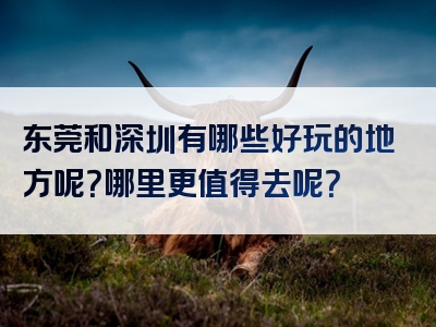 东莞和深圳有哪些好玩的地方呢？哪里更值得去呢？